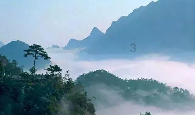 救援卡通小象