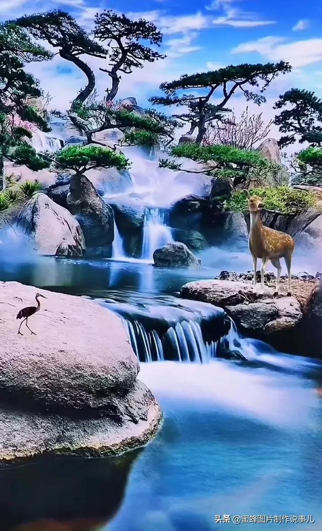 汽车弯道漂移